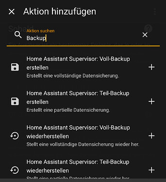 Aktion: Backup